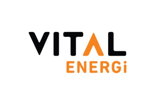 Thumbnail image for article Vital Energi